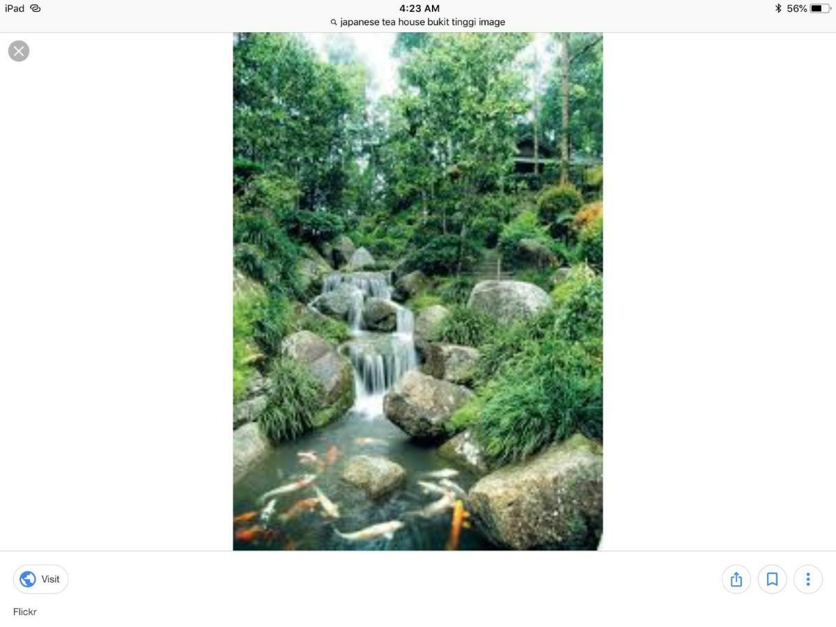 Bukit Tinggi Berjaya Hill Homestay Extérieur photo