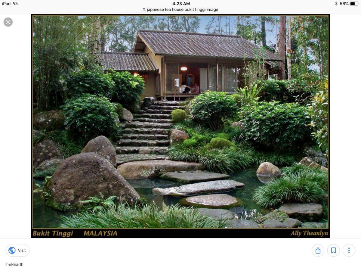 Bukit Tinggi Berjaya Hill Homestay Extérieur photo
