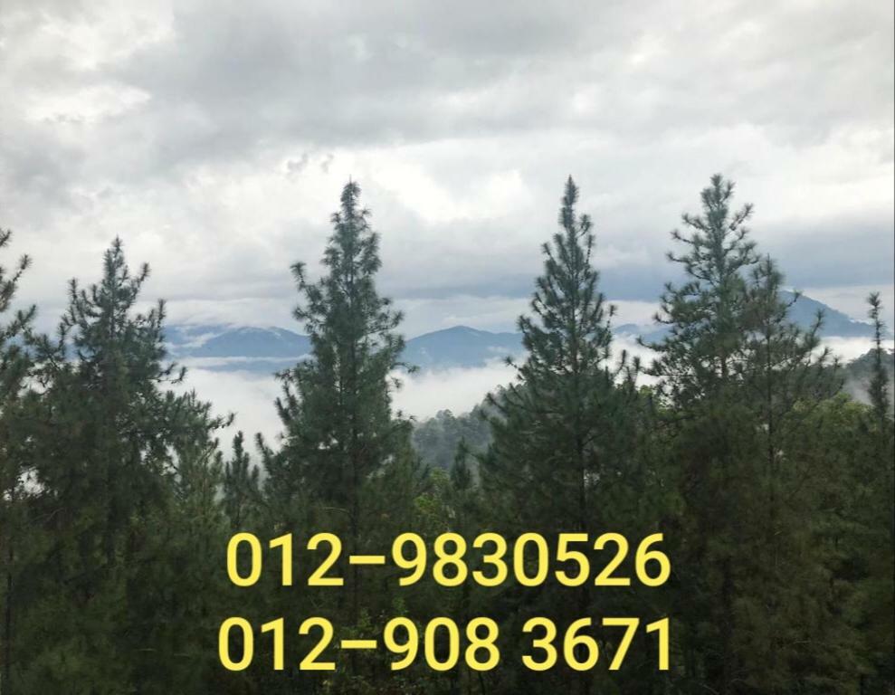 Bukit Tinggi Berjaya Hill Homestay Extérieur photo